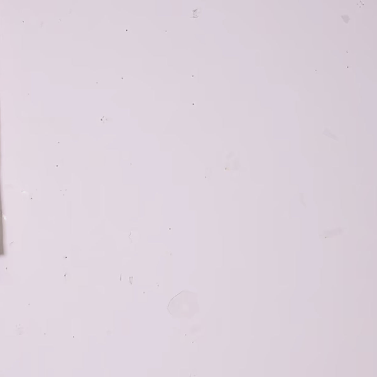 Elegant Large Black Evil Eye DreamCatcher: Boho-Chic Home Decor, Ideal Gift and Stunning Room Decoration, Crafted with Organic Materials